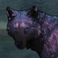 Cosmo Headshot
