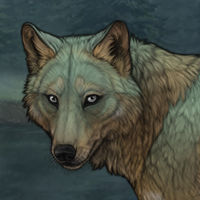 Mack Headshot