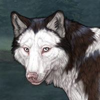 Piebald R&C Headshot