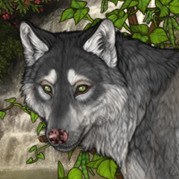 Wolf Headshot