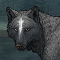 Wolf Headshot