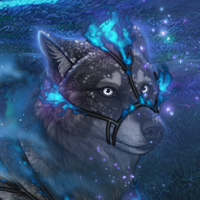 Wolf Headshot