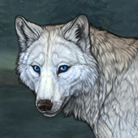 Wolf Headshot