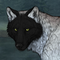 Wolf Headshot