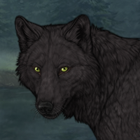 Darkmutt Headshot