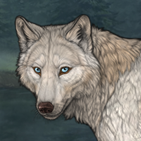 Skoll Headshot