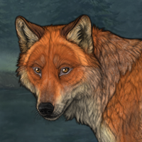 Foxweed Headshot