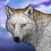 Greystar Headshot