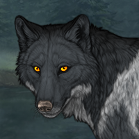 Wolf Headshot