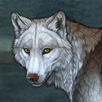 Wolf Headshot