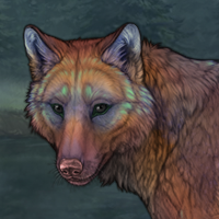 Forestpelt Headshot