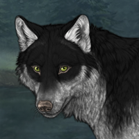 Wolf Headshot