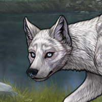 Argent Husky F G2 Headshot