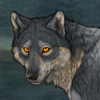 Wolf Headshot