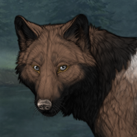 Wolf Headshot