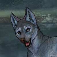 Greystar Headshot