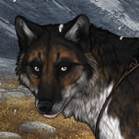 Wolf Headshot