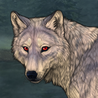 Breeding Wolf 248 Headshot