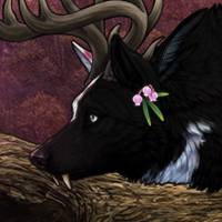 Wolf Headshot