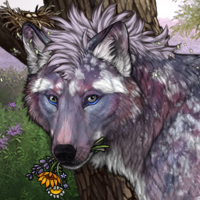 Zephyra Headshot