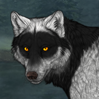 Wolf Headshot