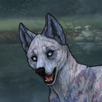 ((Pup))Starlit Symphony Headshot