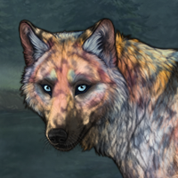 Lupos Headshot