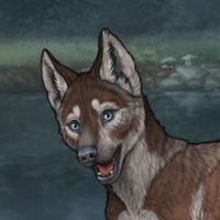 dark fawn husky Headshot