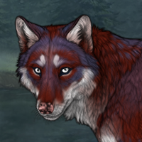 Mc Donald's wolf Headshot