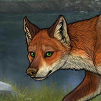 t3 fox Headshot