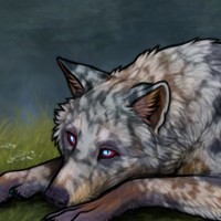 ColdPaw Headshot