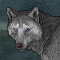 Greystream Headshot