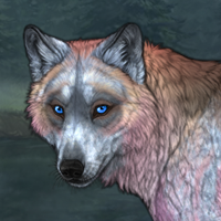 Willow Creek Headshot