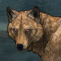 2. Shade Headshot