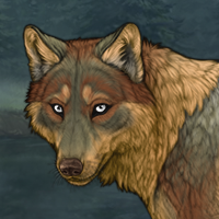 Wolf Link Headshot