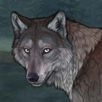 Ironbark Headshot