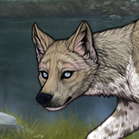 zerdava pup! husky eyes Headshot