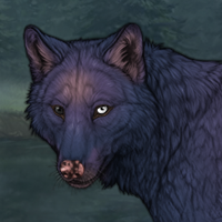 Bewitched InThe Moonlight Headshot