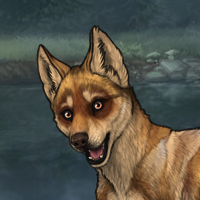 Icarus Headshot