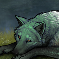 New wolfy <3 Headshot