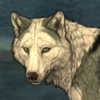 Wolf Headshot