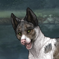 Wissma piebald Headshot