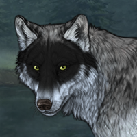 Wolf Headshot