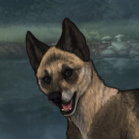 New Puppy Headshot