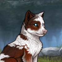 Pretty piebald Headshot