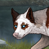 Pretty piebald Headshot