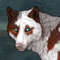 Pretty piebald Headshot