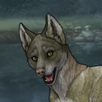 Pup-Lichen Headshot