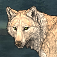 Wolf Headshot