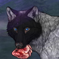 Wolf Headshot